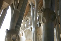 Sagrada7