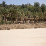 Parc Güell